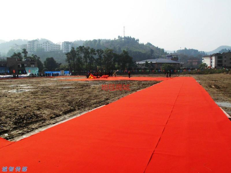 中牟展覽工程地毯新鄭地毯廠家圖片/中牟展覽工程地毯新鄭地毯廠家樣板圖 (3)
