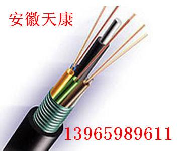 供應(yīng)GYTS單模光纜-GYTS多模光纜