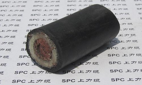 防水電纜圖片/防水電纜樣板圖 (2)