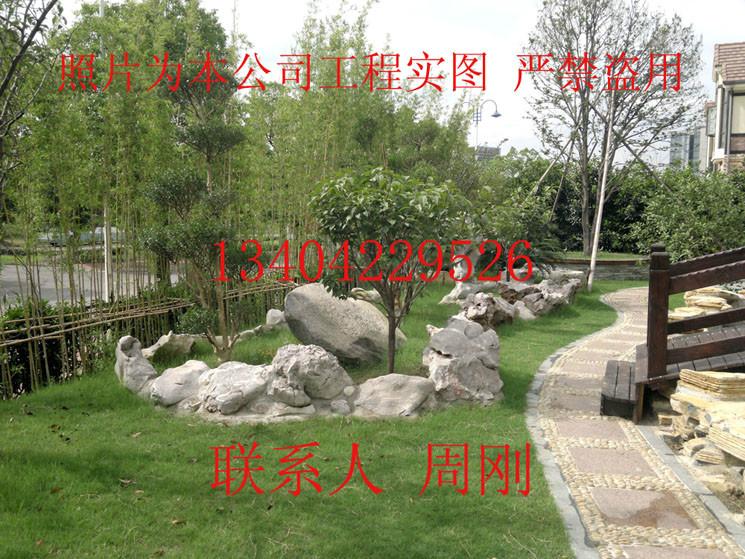 供應蘇州花木市場蘇州苗木市場蘇州苗圃苗木基地