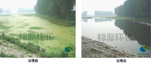浮萍生物治理還您一條健康河道圖片