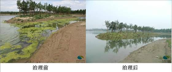 供應(yīng)生物方法治理景觀水