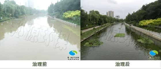 水環(huán)境生態(tài)修復(fù)還您健康河道圖片