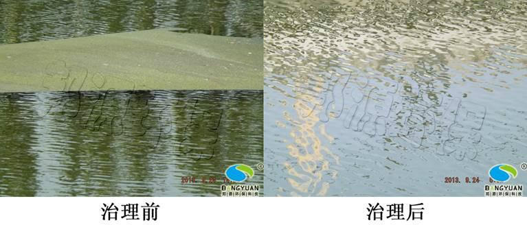 供應太原汾河水環(huán)境生態(tài)修復