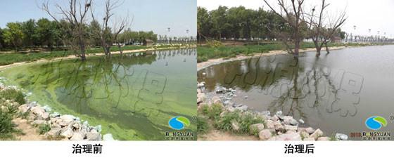 供應(yīng)藍(lán)藻治理*者