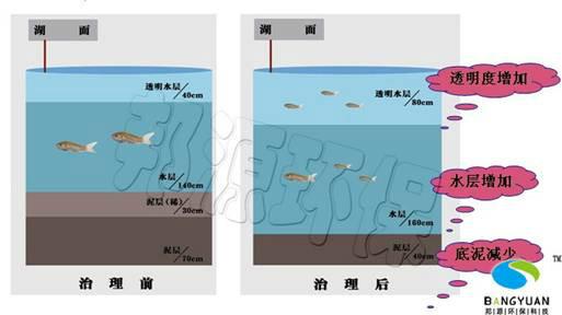 供應(yīng)河道生態(tài)清淤