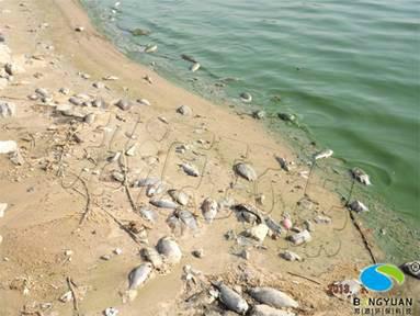 供應(yīng)水體污染的嚴(yán)重性