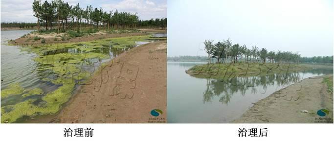 供應(yīng)邦源環(huán)保水綿治理呵護(hù)美麗埝壇公