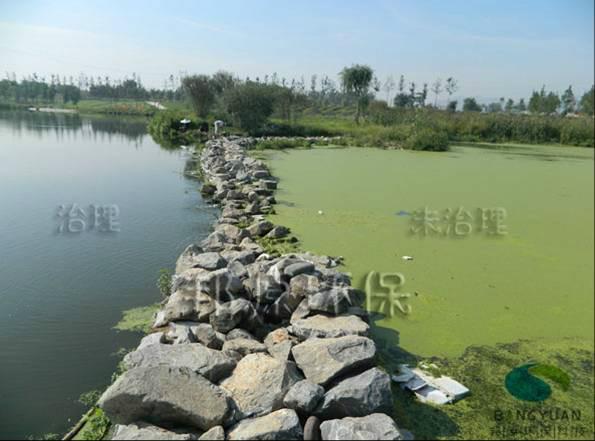 邦源環(huán)保心系蓮石湖藍藻治理圖片