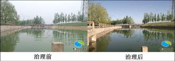 蒙牛集團生活區(qū)水體生態(tài)治理圖片