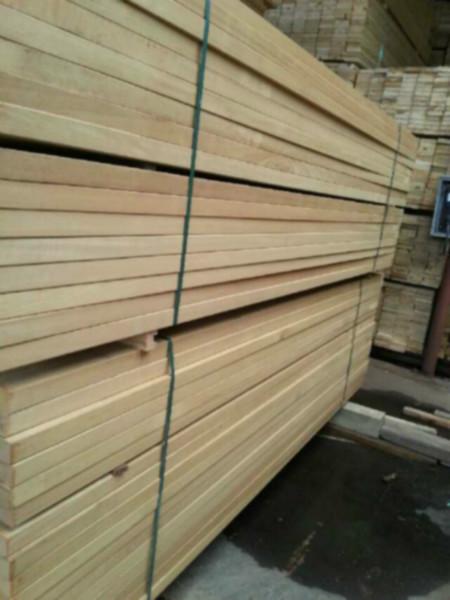 黃巴勞木圖片/黃巴勞木樣板圖 (2)