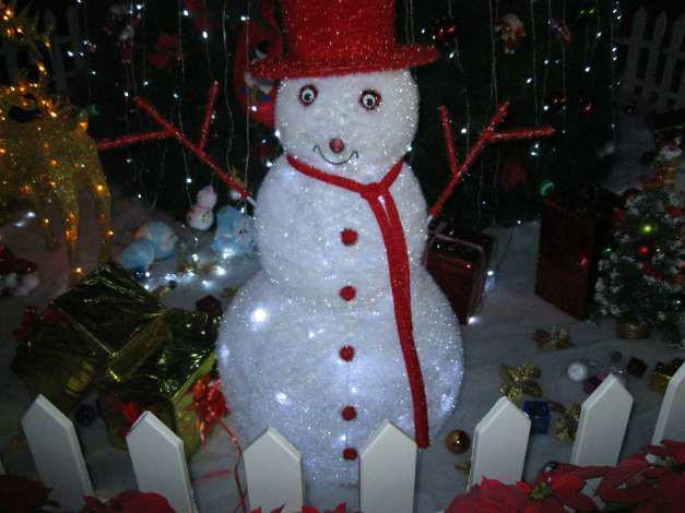 供應東莞圣誕元旦慶典活動禮儀演出