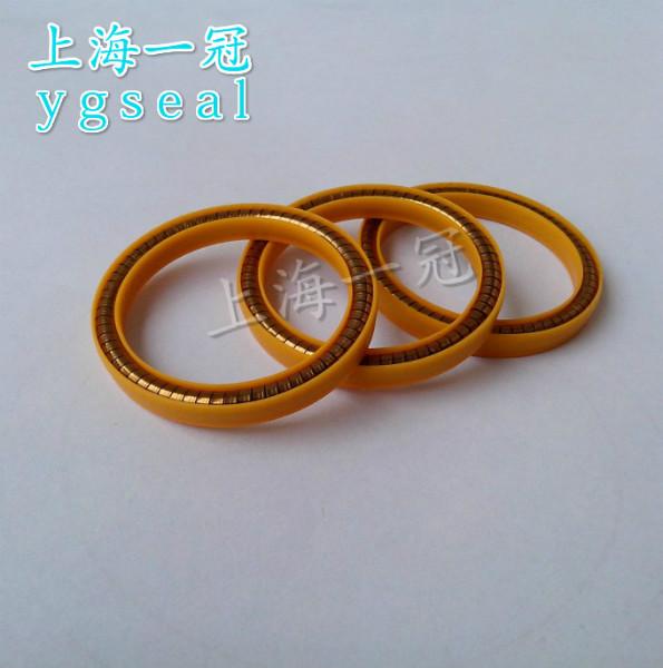 供應進口LNG加*密封圈卡特查特福瑞使用