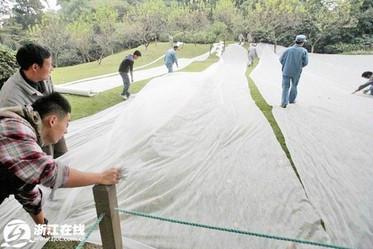 廣東高速公路無紡布圖片