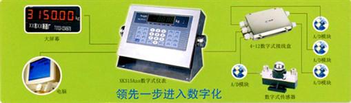 供應(yīng)XK315A6GBP 華漕電子稱維修，電子地磅修理，電子地磅安裝