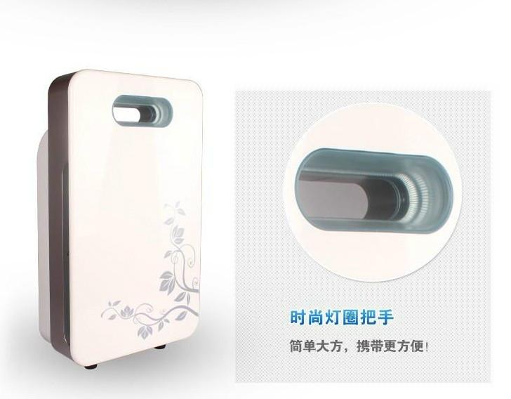 供應會銷直銷室內負離子空氣清新凈化器/家用負離子空氣凈化機