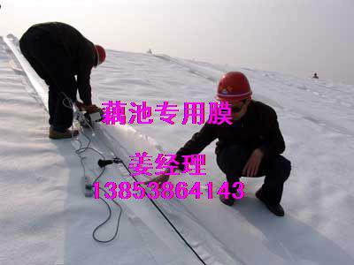 藕池防滲膜圖片