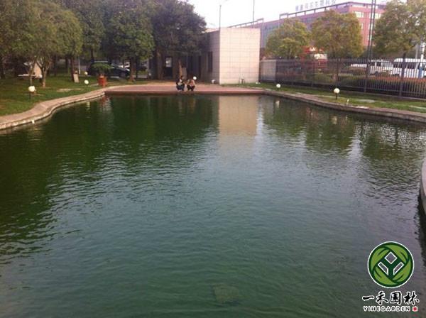 魚池設計，庭院魚池設計，別墅花園魚池設計，杭州魚池設計，假山魚池設計