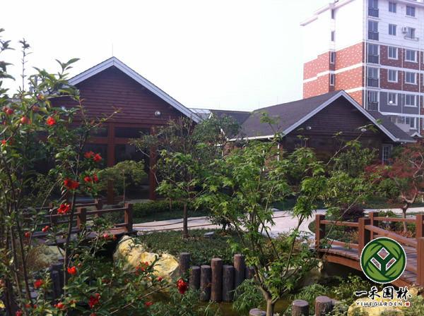 供應(yīng)屋頂花園綠化
