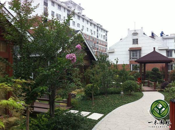 供應(yīng)屋頂花園綠化施工