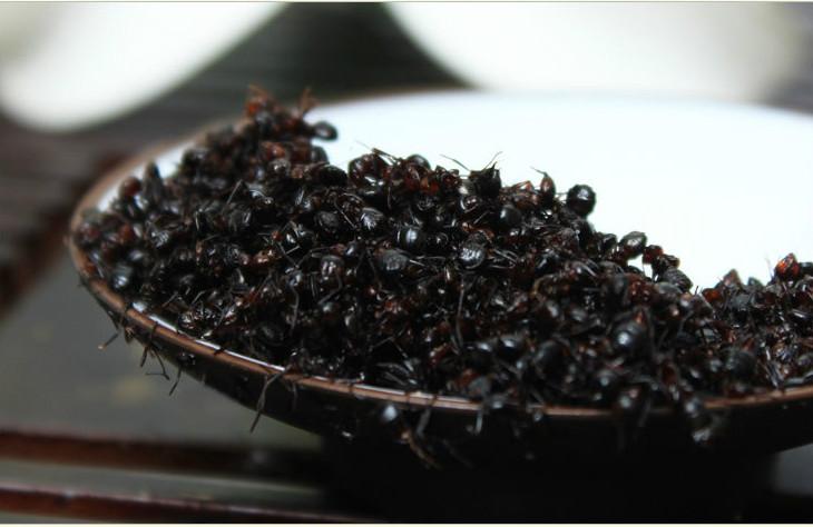 青岛致亭辉参茸专卖 http://www.health521.com 青岛人参 青岛鹿茸 青岛高丽参