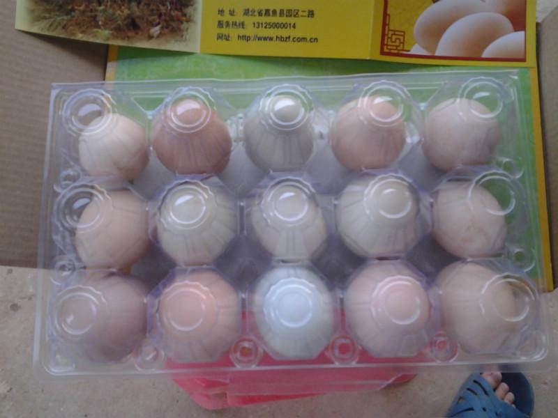 供應(yīng)散養(yǎng)土雞蛋，農(nóng)家土雞蛋，生態(tài)土雞