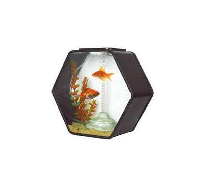 供應(yīng)東區(qū)亞克力魚缸｜香港亞加力魚缸價(jià)格｜有機(jī)玻璃魚缸廠家制作