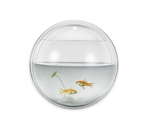 觀塘有機(jī)玻璃魚缸圖片/觀塘有機(jī)玻璃魚缸樣板圖 (4)