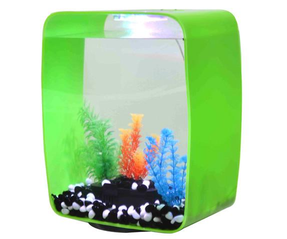 供應荃灣亞加力魚缸｜香港亞克力魚缸制作｜訂做亞克力魚缸