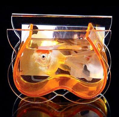 灣仔區(qū)有機(jī)玻璃魚缸圖片