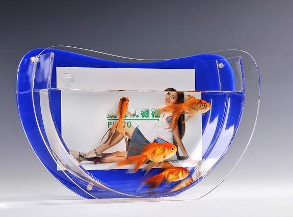 觀塘有機(jī)玻璃魚缸圖片