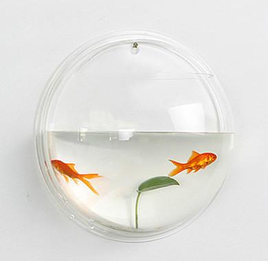 供應香港西貢亞加力魚缸｜大象形狀有機玻璃魚缸｜大型魚缸價格