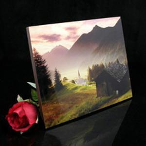 供應(yīng)全自動(dòng)精密裁板鋸，全自動(dòng)精密裁板鋸報(bào)價(jià)，全自動(dòng)精密裁板鋸供應(yīng)商