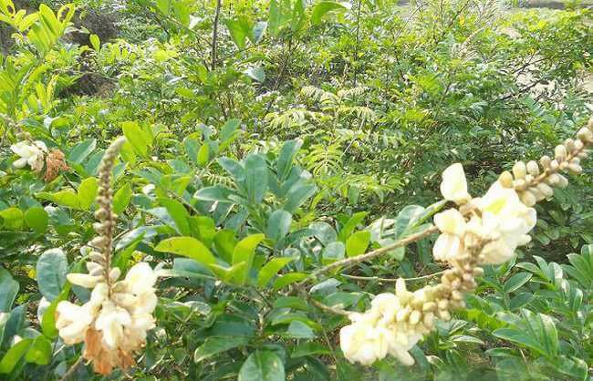 賓陽圖片/賓陽樣板圖 (2)