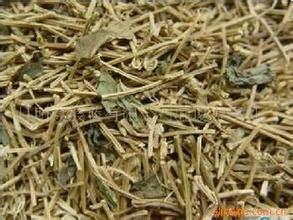 供應全草絞股藍價格,藥材絞股藍廠家,全草絞股藍一斤多少錢,*絞股藍