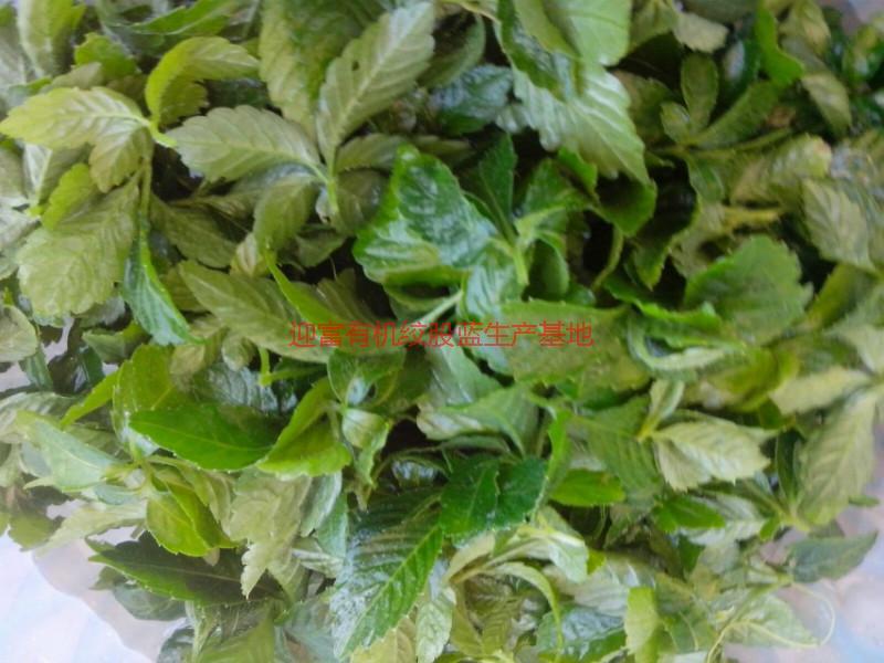 供應(yīng)優(yōu)質(zhì)富硒絞股藍(lán)用途，優(yōu)質(zhì)富硒絞股藍(lán)直銷