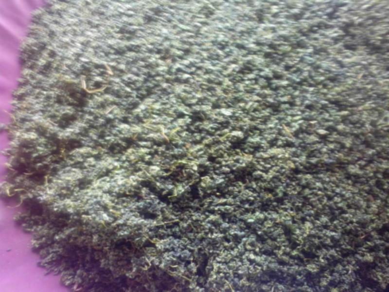 供應甘味絞股藍茶葉生產廠家，甘味絞股藍茶葉生產供應商