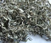 供應(yīng)全葉藤茶廠家批發(fā)，全葉藤茶廠家批發(fā)電話，全葉藤茶廠家批發(fā)價(jià)格