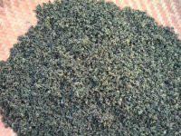 廈門野生七葉絞股藍(lán)生產(chǎn)公司圖片