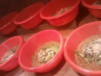 石蛙特種養(yǎng)殖圖片/石蛙特種養(yǎng)殖樣板圖 (3)