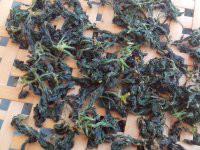 供應(yīng)優(yōu)質(zhì)富硒絞股藍(lán)茶供應(yīng)，優(yōu)質(zhì)富硒絞股藍(lán)茶供應(yīng)商