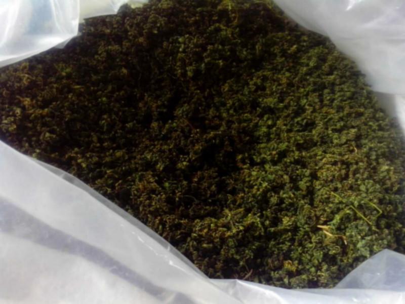 供應(yīng)*七葉膽茶批發(fā)價格,*七葉膽茶廠家,*七葉膽茶廠家電話,茶