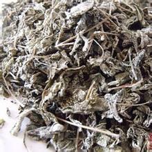 供應(yīng)特級龍須苦甘露，特級龍須苦甘露茶，特級龍須苦甘露批發(fā)價格