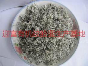 嫩芽矛巖莓生產(chǎn)廠家圖片