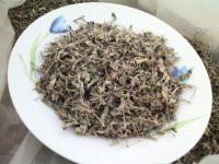 茅巖莓生產(chǎn)產(chǎn)地，茅巖莓生產(chǎn)產(chǎn)地直銷價格，茅巖莓生產(chǎn)產(chǎn)地*公司