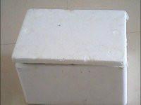 供應(yīng)福建原生態(tài)石蛙養(yǎng)殖基地供應(yīng)種蛙幼蛙