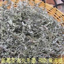 嫩芽藤茶*，嫩芽藤茶*廠家，嫩芽藤茶*產(chǎn)地，嫩芽藤茶*價(jià)格