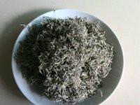 供應(yīng)龍須苦甘露廠家，龍須苦甘露廠家批發(fā)，龍須苦甘露廠家直銷*價(jià)格