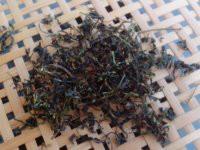 供應(yīng)富硒絞股藍(lán)茶葉批發(fā)廠家，富硒絞股藍(lán)茶葉批發(fā)