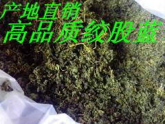 供應(yīng)*野生絞股藍(lán)批發(fā)價(jià)格是多少